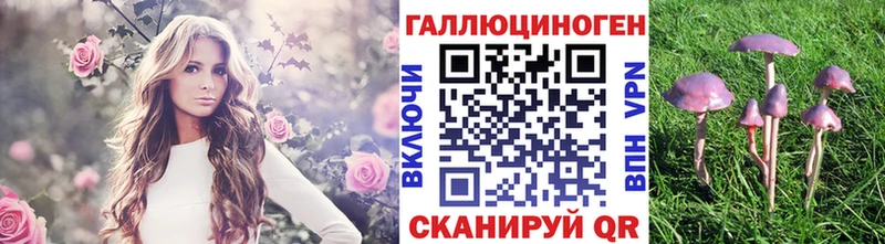 цены   Назрань  Псилоцибиновые грибы MAGIC MUSHROOMS 