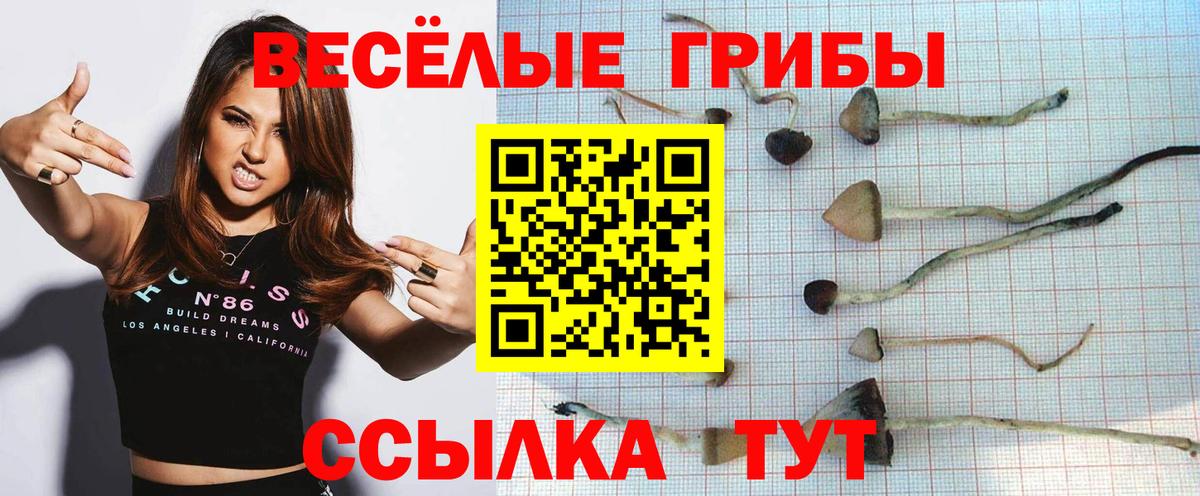 Псилоцибиновые грибы ЛСД  что такое   Назрань  Галлюциногенные грибы Cubensis  Вход с VPN 